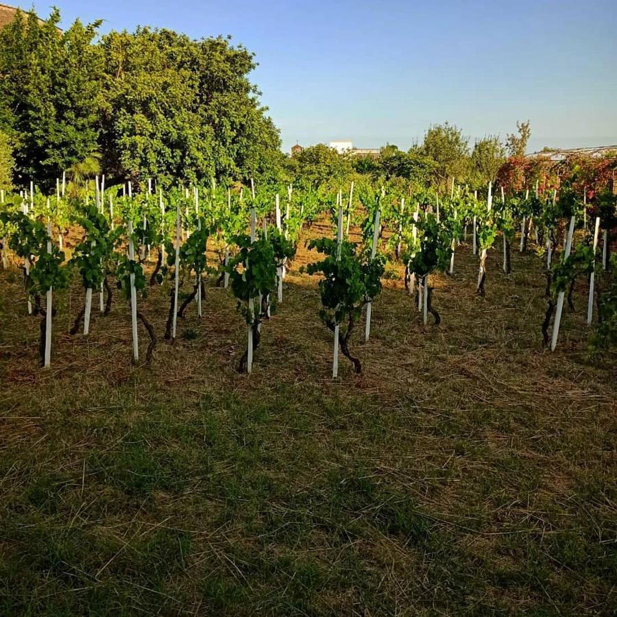 Bed and Breakfast Le Stanze Dei Mori - Quadrupla Con Bagno Privato Mascalucia Exterior foto